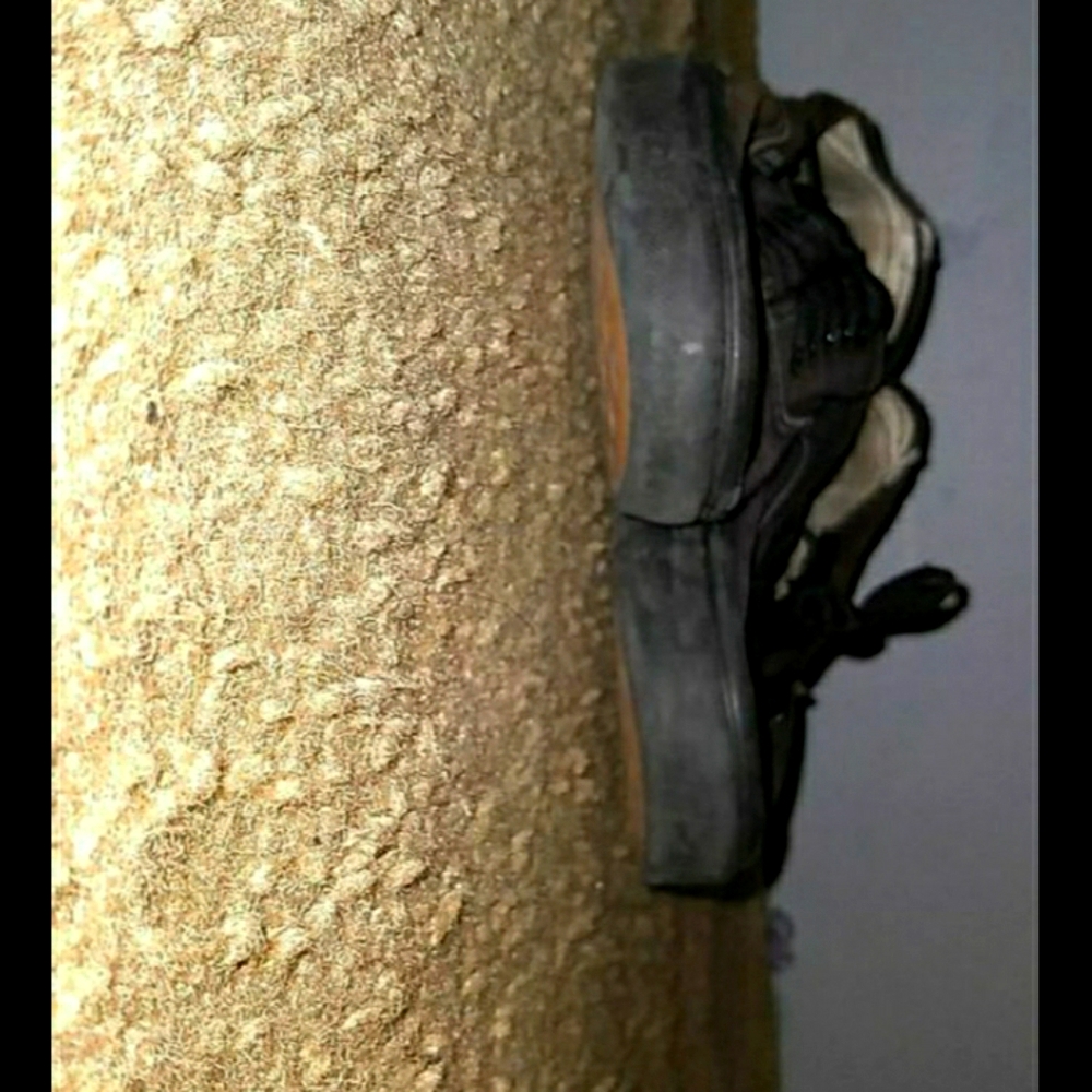 Vans shoes